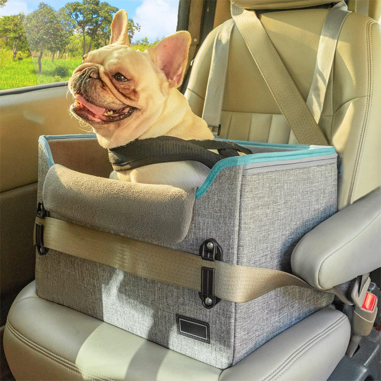 Dog leash for outlet car